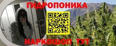 трава Свободный