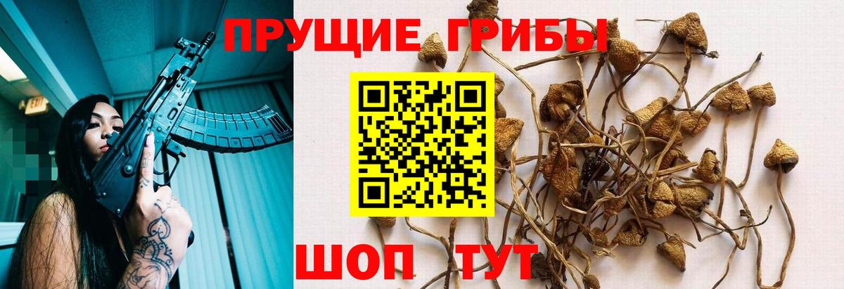 Галлюциногенные грибы Magic Shrooms Санкт-Петербург